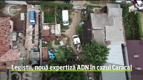 A fost finalizat raportul în cazul oaselor umane găsite la marginea unei păduri de lângă Caracal