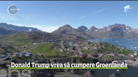 Donald Trump vrea să cumpere Groenlanda. Locuitorii Groelandei i-au transmis președintelui că teritoriul nu este de vânzare