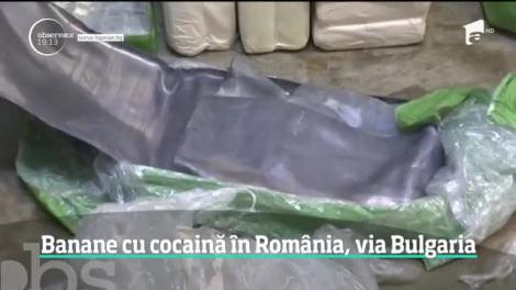 Cocaină pură ascunsă în cutii de banane