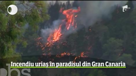 Paradisul din Insulele Canare s-a transformat în infern. 2.000 de hectate au ars, iar zeci de localităţi sunt ameninţate de flăcări