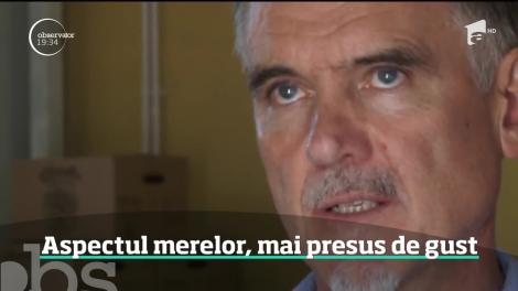 Merele româneşti se transformă în ţuică, în timp ce noi mâncăm din magazine fructe din import