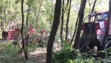 Copii grav răniţi din cauza neatenţiei unor muncitori care toaletau copacii din Județul Bârlad. Una dintre crengi a căzut peste ei