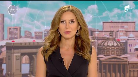 Câine de terapie, la o casă de pompe funebre din Brooklyn