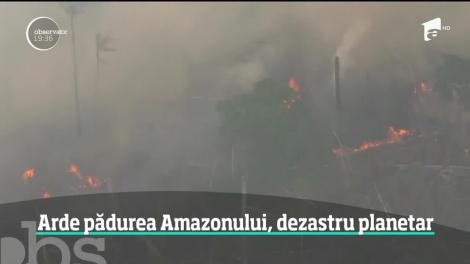 Ipoteză scandaloasă în cazul incendiilor care au cuprins pădurea amazoniană, plămânul verde al planetei: ”Ecologiștii au pus focul!”
