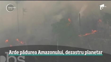 Ipoteză scandaloasă în cazul incendiilor care au cuprins pădurea amazoniană, plămânul verde al planetei: ”Ecologiștii au pus focul!”