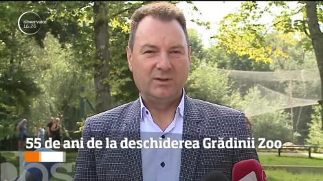 Cea mai mare grădină zoologică din ţară a împlinit 55 de ani de la deschiderea oficială. Rezervaţia de la Târgu-Mureş atrage un număr record de turişti