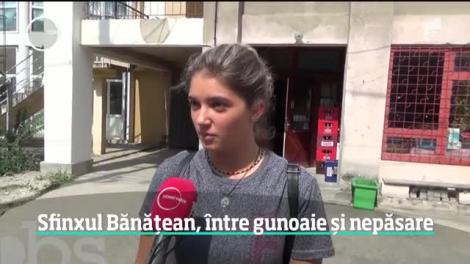 Sfinxul Bănăţean din Băile Herculane, între gunoaie și nepăsare