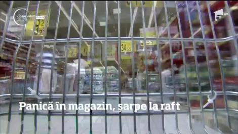 Panică într-un supermarket din Sfântu Gheorghe. Oamenii au găsit un şarpe lung de un metru care umbla printre lăzile cu roşii