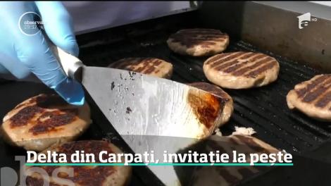 Gustul Deltei Dunării s-a mutat la munte. La Braşov, bucătarii s-au întrecut în delicii pescăreşti