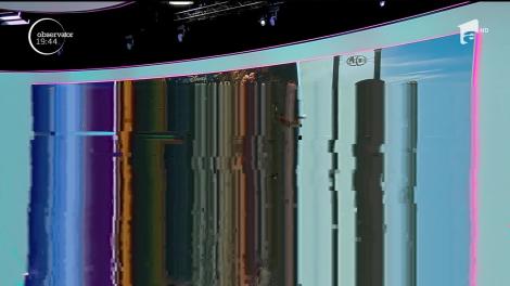 Filmul Doamna şi Vagabondul, una dintre poveştile copilăriei, din nou pe ecrane