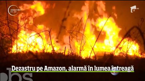 Dezastru în pădurea amazoniană. 40.000 de soldaţi din Brazilia se vor alătura luptei cu flăcările