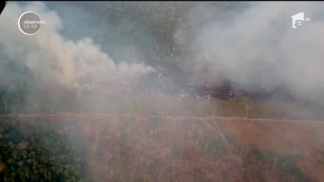 Armata braziliană, trimisă să stingă uriaşele incendii din Amazon