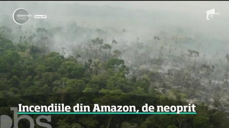 Incendiile din Amazon, de neoprit