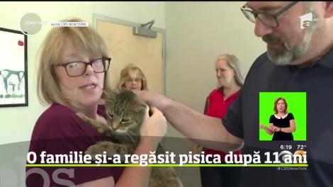 Bucurie mare într-o familie din statul New York, care şi-a regăsit pisica dispărută cu nu mai puţin de 11 ani în urmă