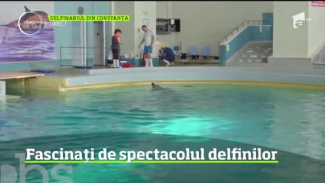 Dacă sunteţi în concediu la malul mării şi nu mai vreţi să staţi la plajă, simpaticii delfini de la Delfinariul din Constanţa vă aşteaptă să-i vizitaţi
