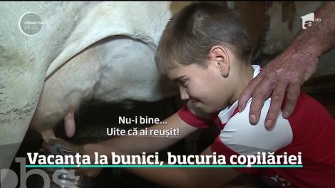 Vacanța la bunici, bucuria copilăriei