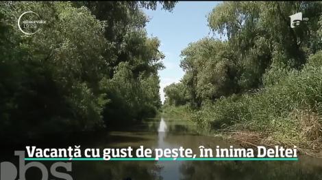 Turismul gastronomic din gospodăriile ţărăneşti ar putea fi un brand de ţară