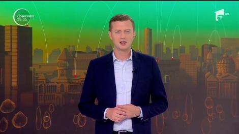 Imagini sumbre la malul mării. Cinci delfini au eşuat  pe litoralul românesc