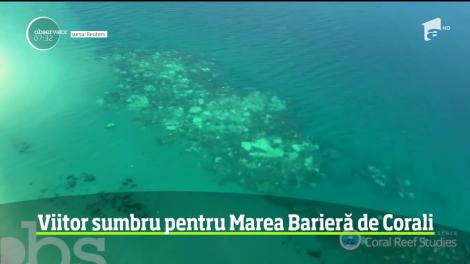Marea Barieră de Corali din Australia are în faţă un viitor sumbru
