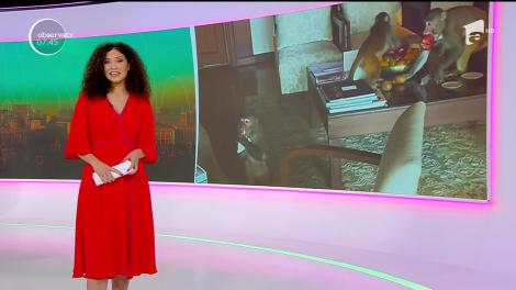 Emilia Clarke şi Rose Leslie, victimele unui furt mai puţin obişnuit