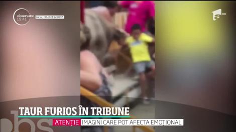 Un taur a rănit 22 de oameni, în timpul unei coride, în Spania