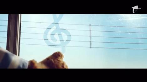 Pisoi salvat în ultima clipă de la moarte, de un motociclist