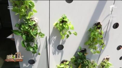 EFdeN - casă inteligentă care produce mai multă energie decât consumă