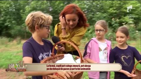 Activități de vacanță la fermă pentru copii