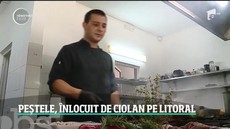 Peștele, înlocuit de ciolan pe Litoral