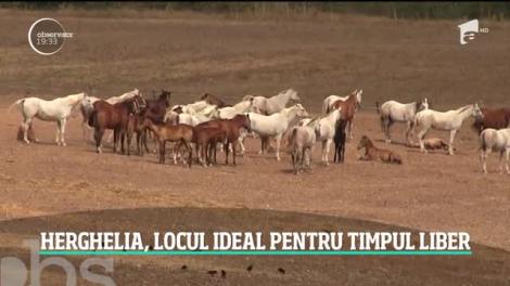 Herghelia, locul ideal pentru petrecerea timpului liber