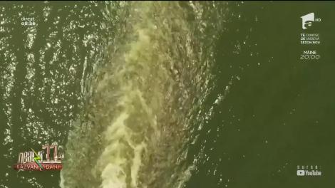 Recomandări pentru weekendul 7 - 8 septembrie 2019. Cum îți poți petrece timpul liber