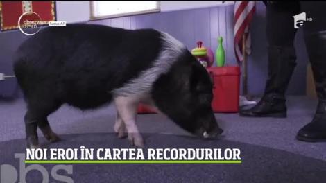 Noi eroi în Cartea Recordurilor