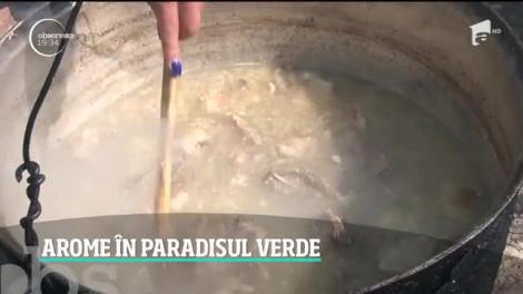 Relaxarea în natură, una dintre soluţiile de a scăpa de dependenţa de telefon