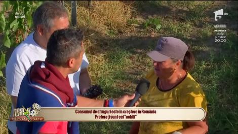 Neatza cu Răzvan și Dani. A început culesul viei din Dobrogea. Cum se face vinul: etape, procese, reguli pentru un vin bun