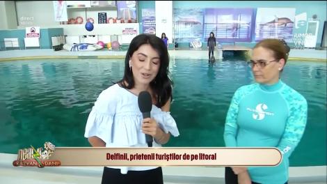 Neatza cu Răzvan și Dani. Delfinii, prietenii turiștilor de pe litoral: Avem demonstrații pentru toate vârstele
