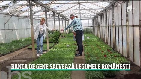 România va avea pentru prima dată în istorie o bancă genetică pentru plante, în Buzău!