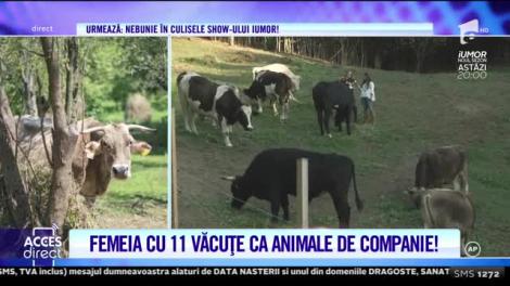 Acces Direct. Sanctuarul văcuţelor, un loc unic în România!
