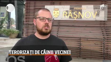 Teroare pentru zeci de oameni din Râşnov, din cauza unei femei! Ce are în curtea ei este de necrezut! Video