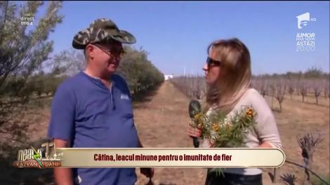 Neatza cu Răzvan și Dani. Cătina, leacul minune pentru o imunitate de fier. La ce te ajută o cură cu fructe de cătină