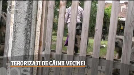 Oraşul lui Brâncuşi s-a transformat pentru câteva zile, într-un veritabil platou de filmare!