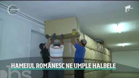 Hameiul românesc ne umple halbele