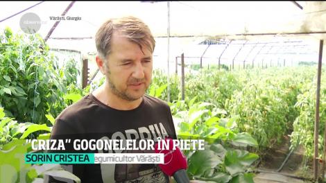 Gogonelele sunt aproape de negăsit în pieţe