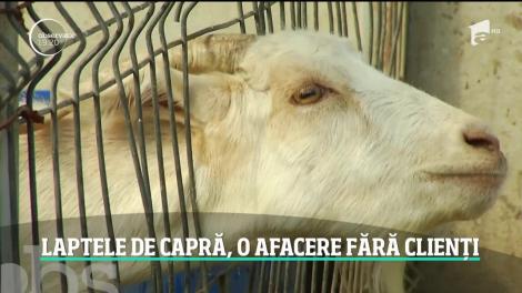 Laptele de capră nu se află pe lista de preferinţe a românilor
