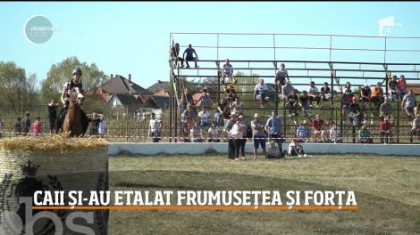 În localitatea Ardud din Satu Mare a revenit o veche tradiţie! Oamenii marchează din nou Ziua Calului, print-o competiţie ecvestră
