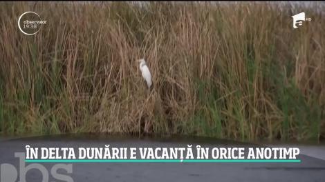 În Delta Dunării e vacanță în orice anotimp. Oaspeţii sunt așteptați cu preparate pescăreşti de sezon