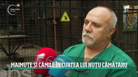 După maimuţa care a speriat Bucureştiul, poliţiştii au găsit o grădină zoologică în toată regula în Sectorul 5, în curtea lui Nuțu Cămătaru