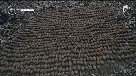 În Vrancea, căutătorii de comori au găsit 1087 de grenade