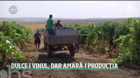 România are mai puţin vin, dar de o calitate mai bună decât în alţi ani