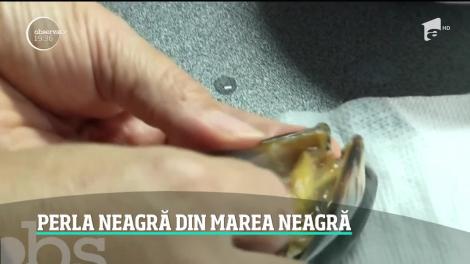 Descoperire colosală în Marea Neagră! Comoara din adâncuri, ce valorează mii de dolari, a fost găsită din întâmplare