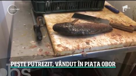 Peşte stricat şi marfă ţinută într-un beci infestat de şobolani au descoperit inspectorii ANPC la un control-surpriză în Obor